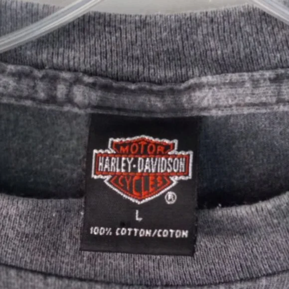Genuine Harley-Davidson Men’s T-Shirt Sz Large Gray New Smyrna Beach Florida - Picture 5 of 12